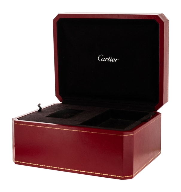 Cartier Santos 100 W20072X7 Image 4